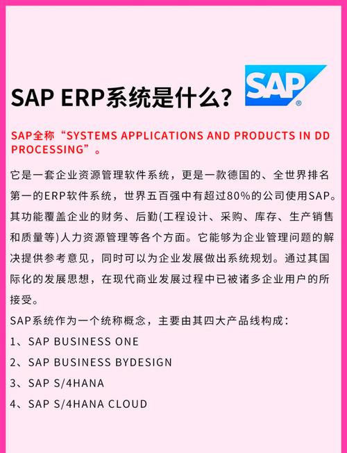 解析SAP 企业管理的数字核心