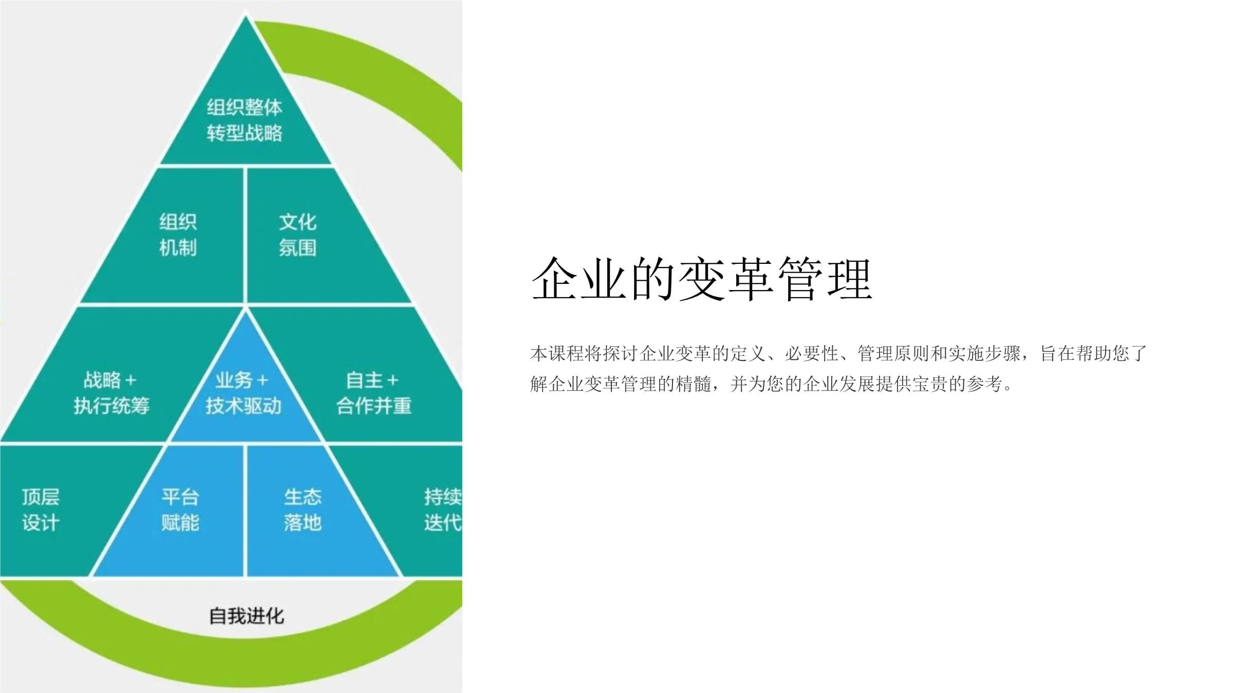 企业的变革管理 驱动组织持续进化的核心能力